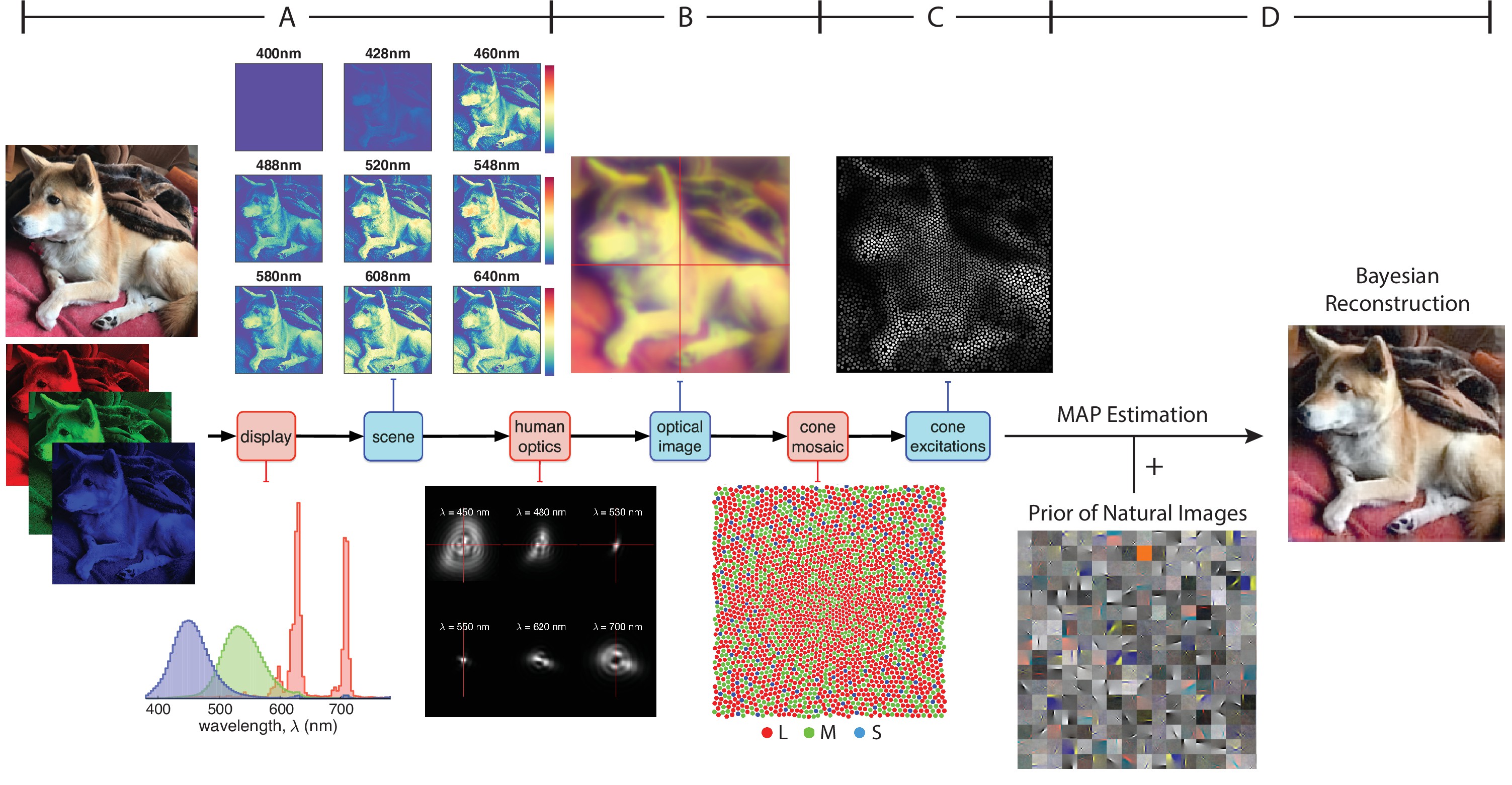 Figure 1 of Zhang et al. 2022