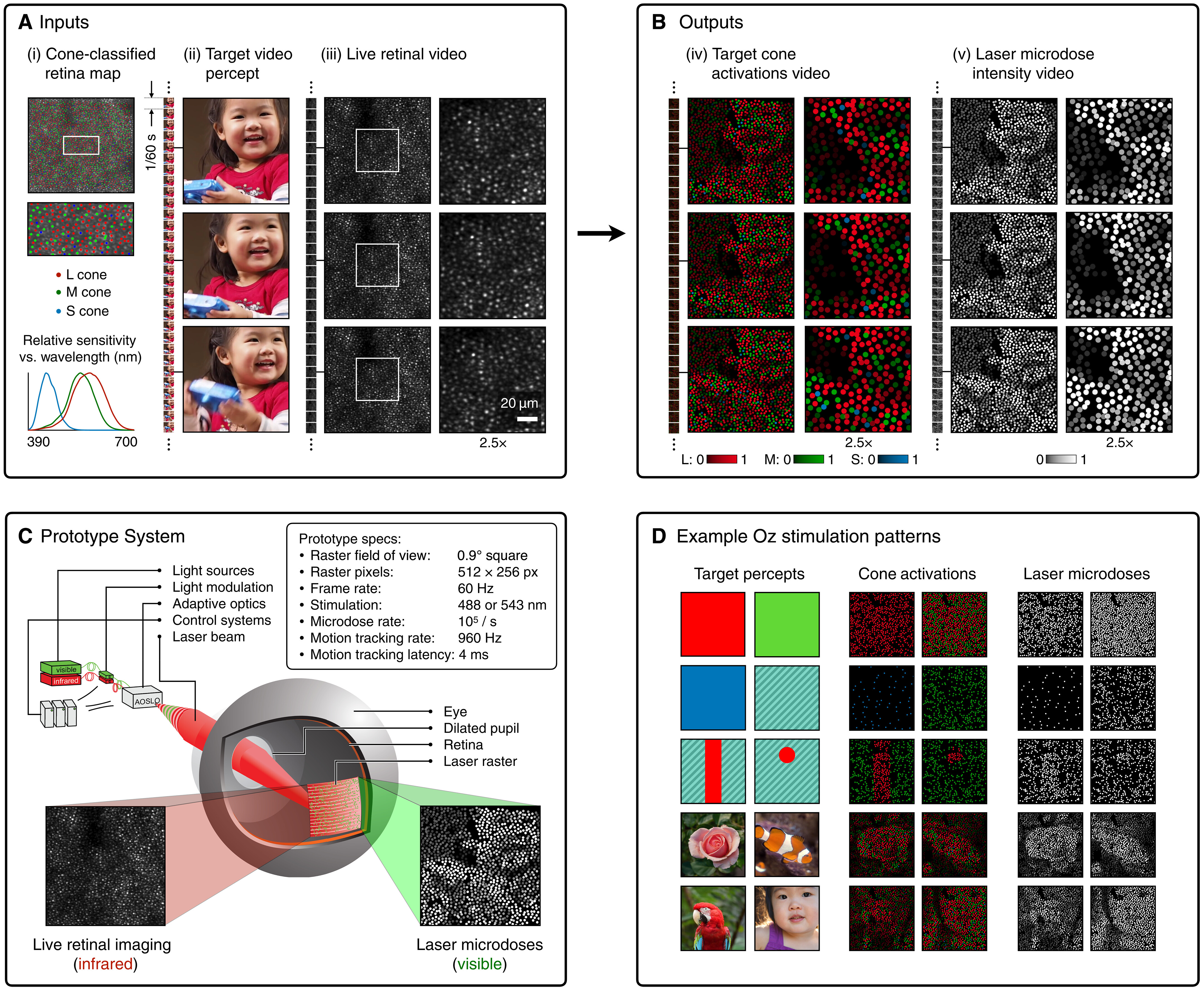 Figure 1 of Fong et al., 2025
